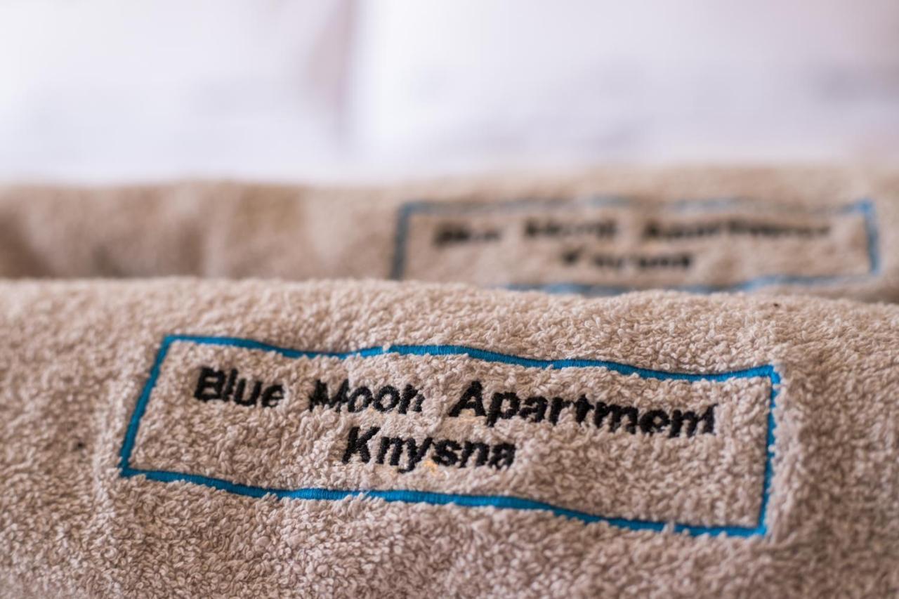 Blue Moon Apartments Knysna Esterno foto